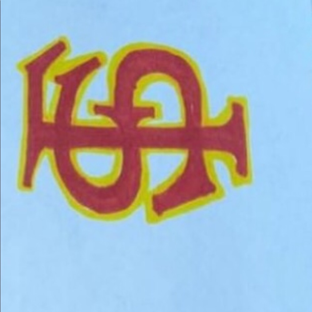 FSU logo shirt